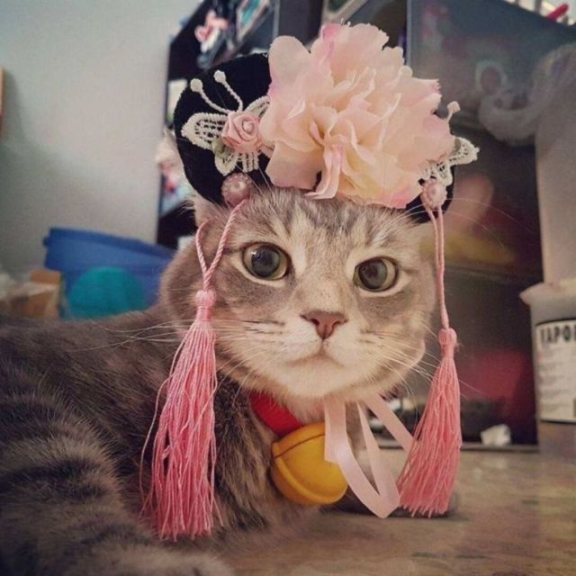 树洞